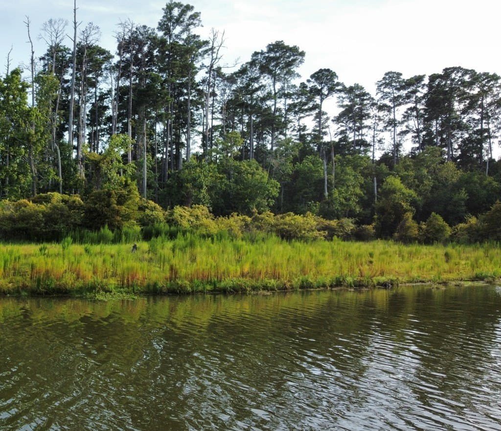 3.55 acres in Texas County - photo 20