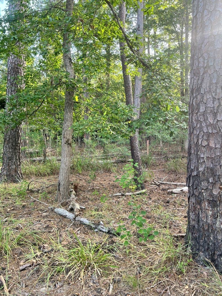 3.55 acres in Texas County - photo 7