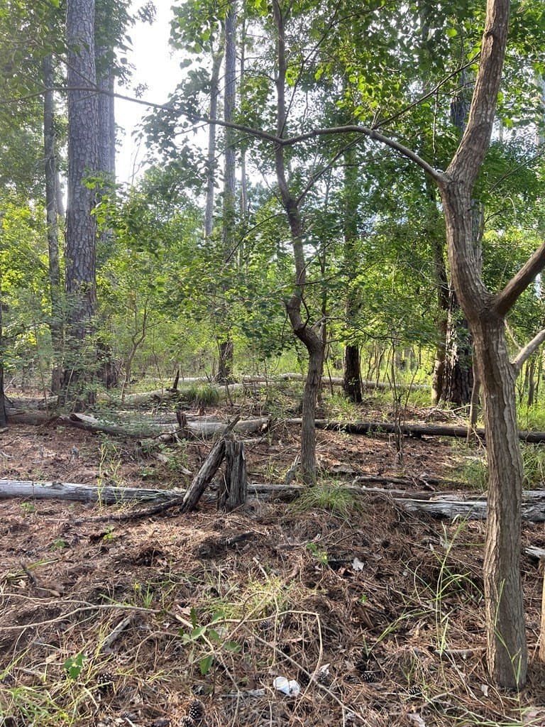 3.55 acres in Texas County - photo 6