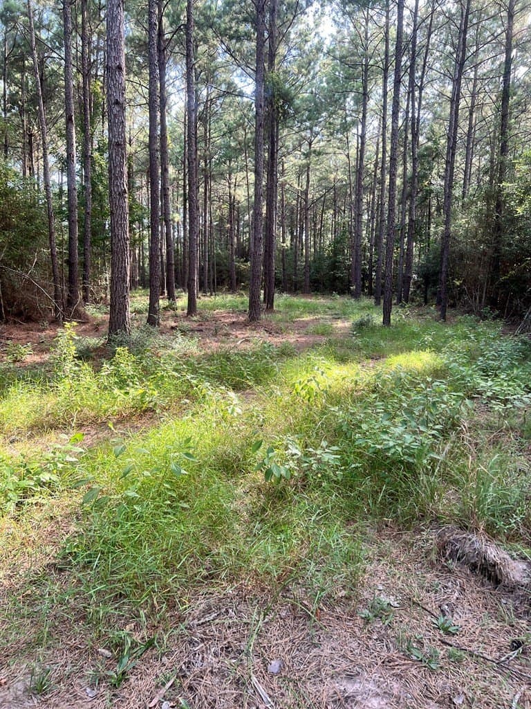 3.55 acres in Texas County - photo 9