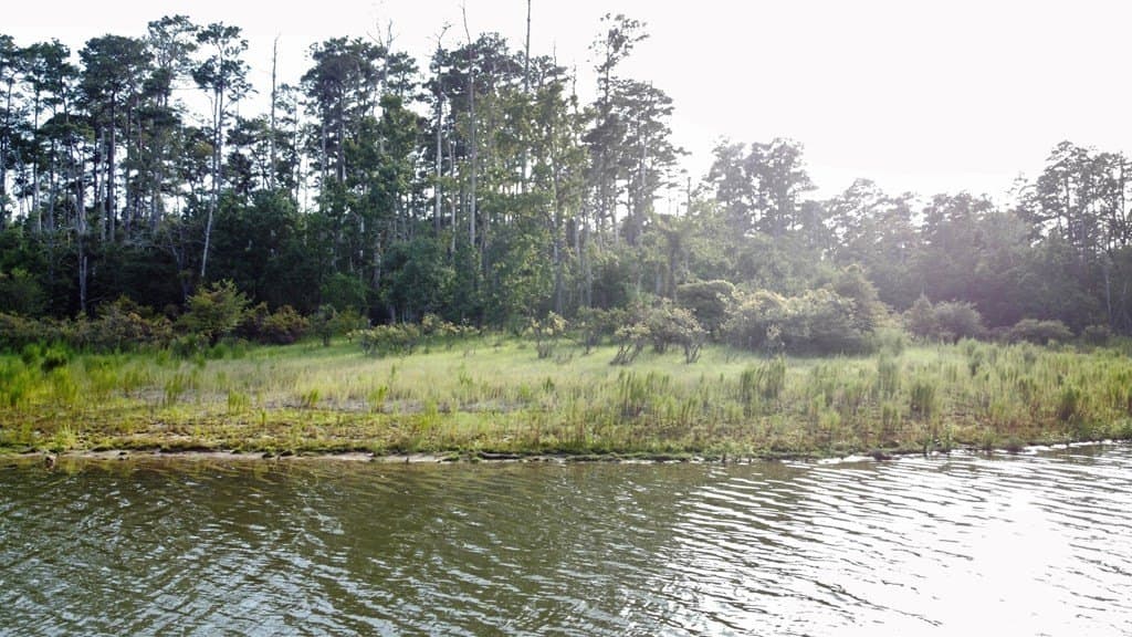 3.55 acres in Texas County - photo 21
