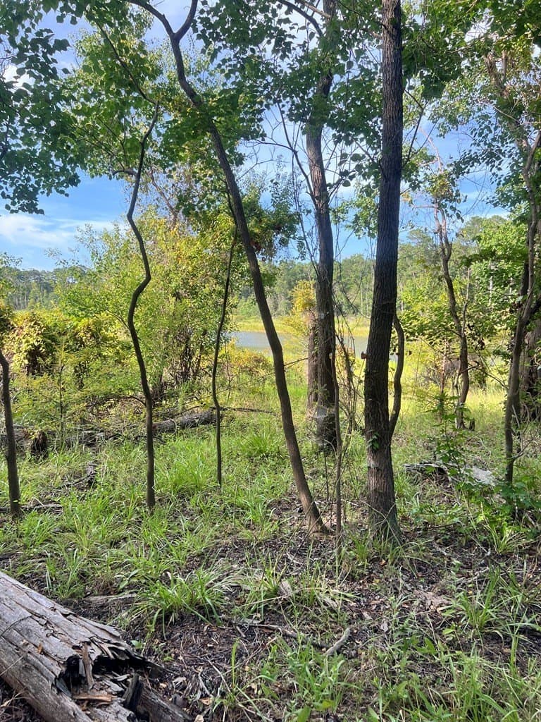 3.55 acres in Texas County - photo 13