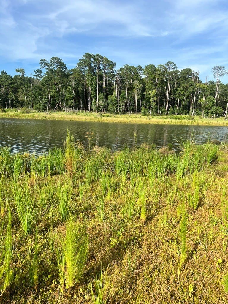 3.55 acres in Texas County - photo 18