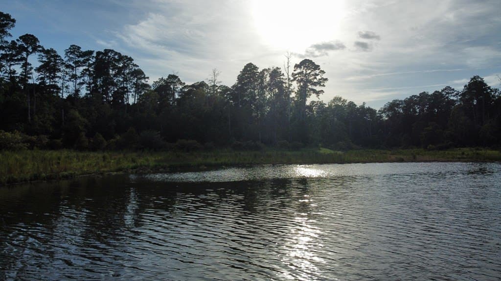 3.55 acres in Texas County - photo 23