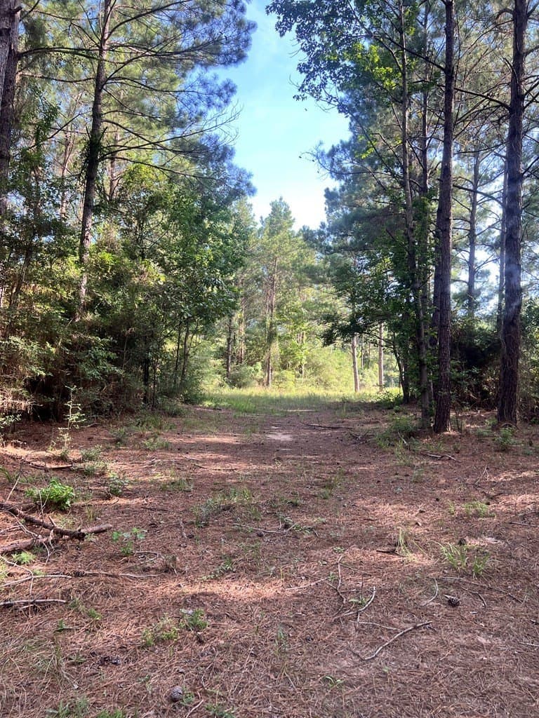 3.55 acres in Texas County gallery image 3