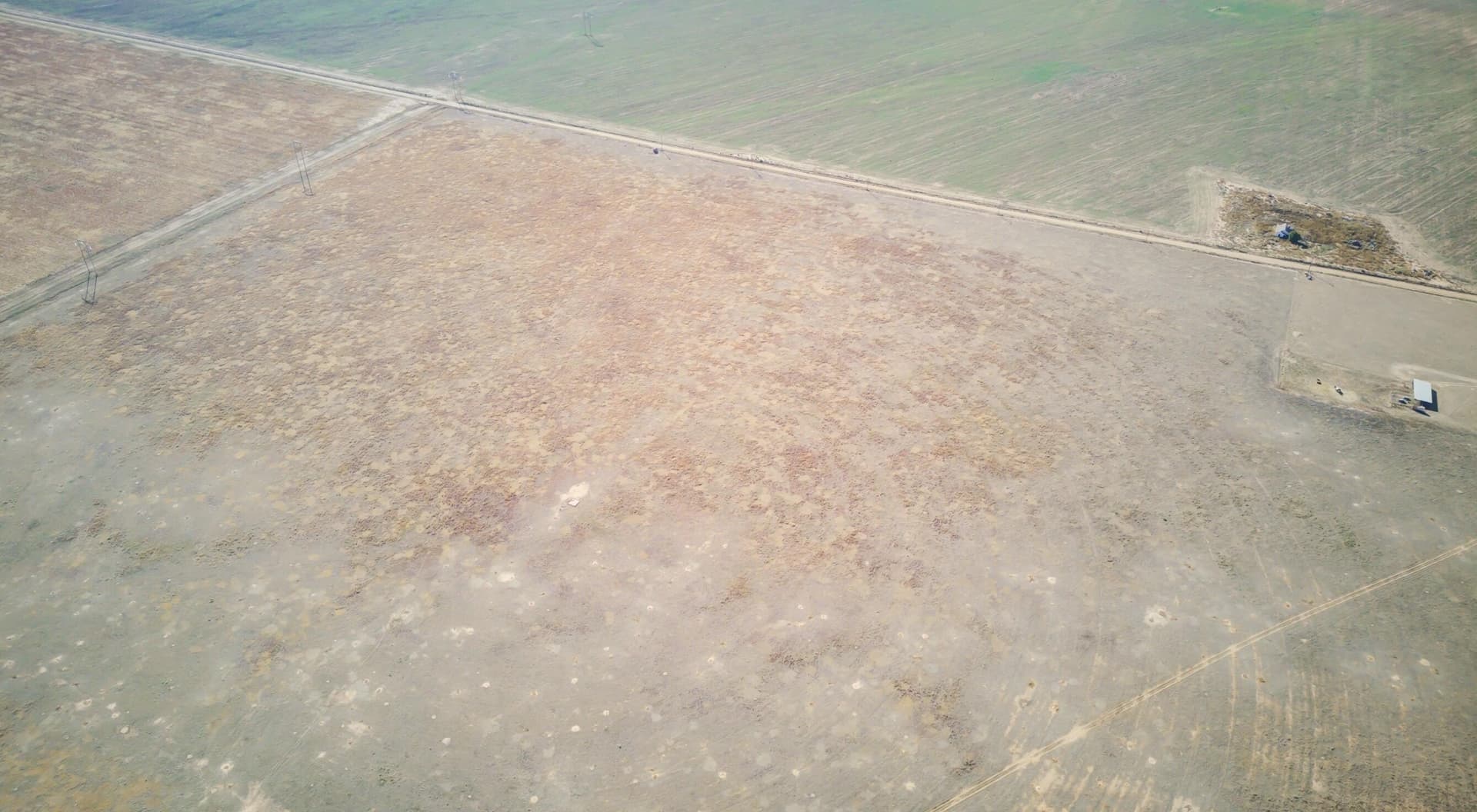 20 acres in Hale County - photo 13