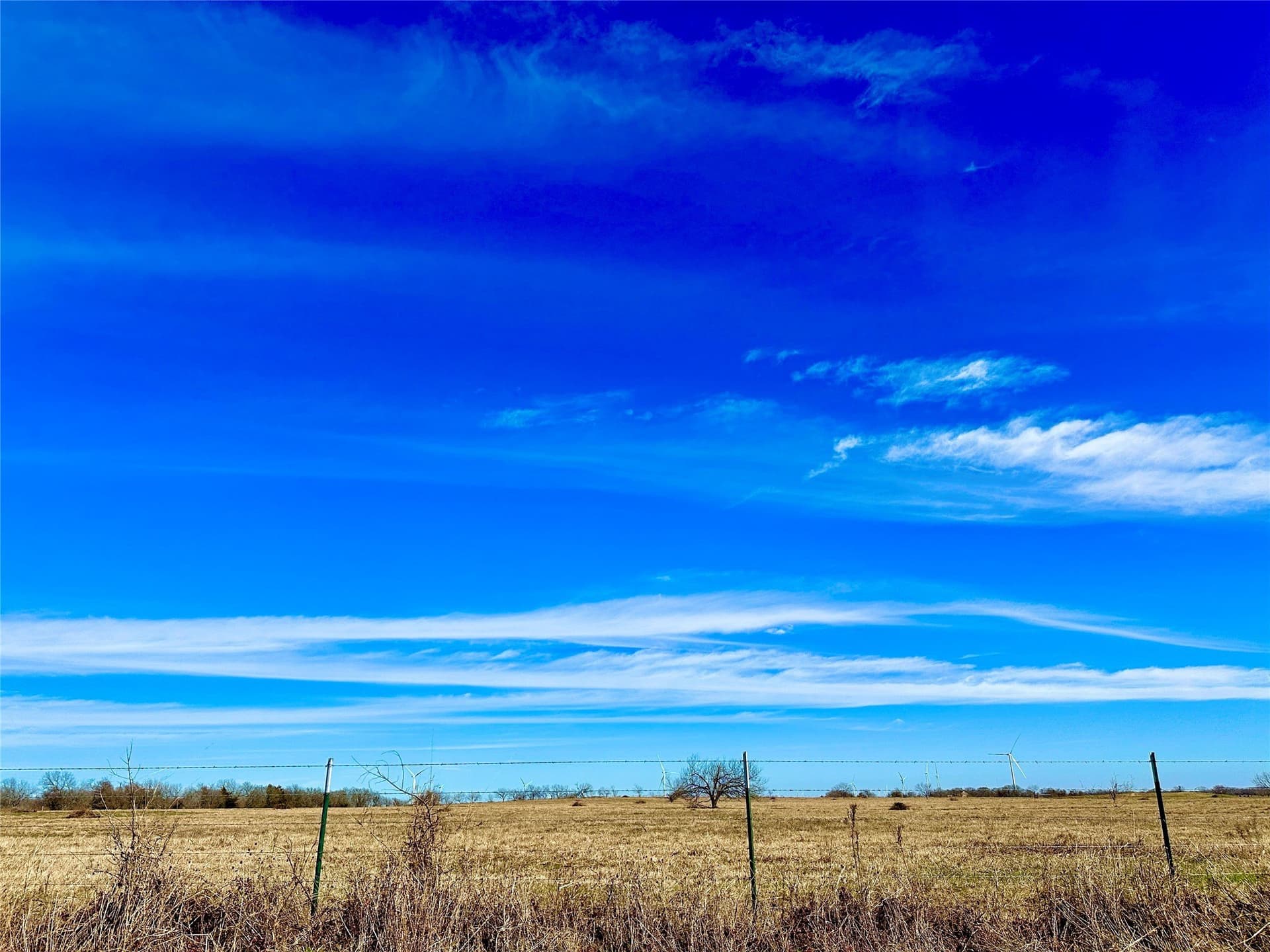 10 acres in Limestone County - photo 8