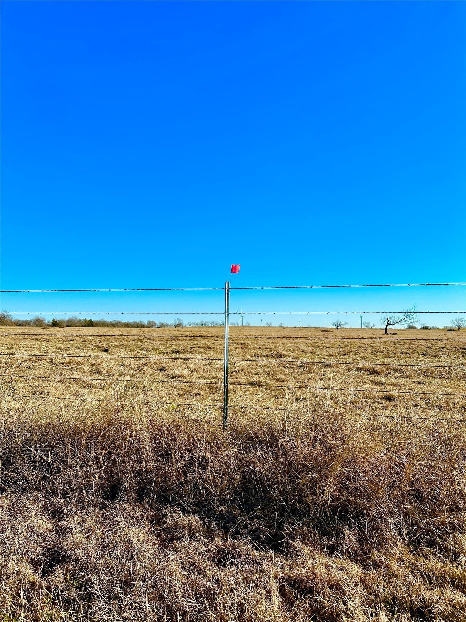 10 acres in Limestone County - photo 6