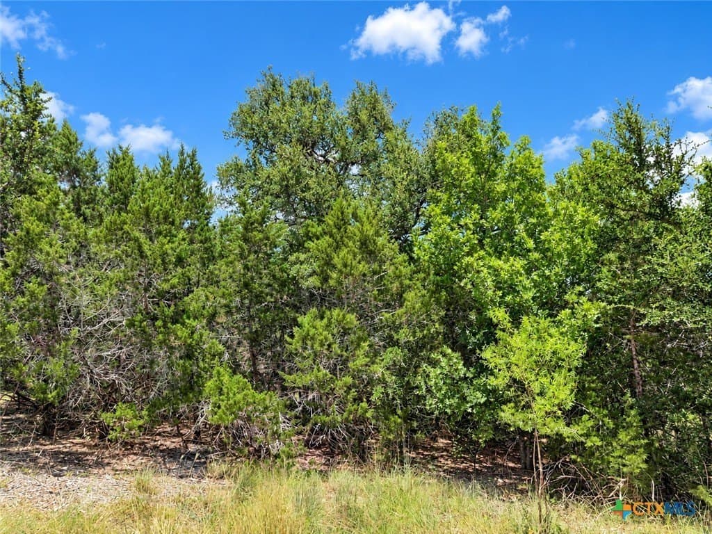 3.27 acres in Bell County - photo 7