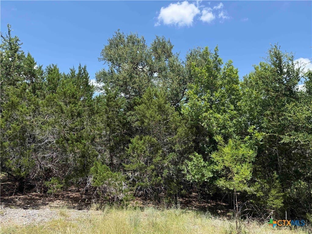 3.27 acres in Bell County gallery image 3