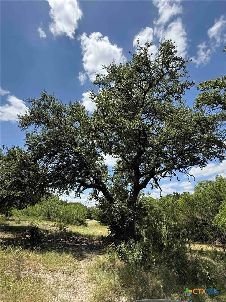 3.27 acres in Bell County gallery image 4