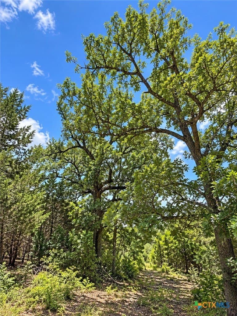 3.27 acres in Bell County - photo 4