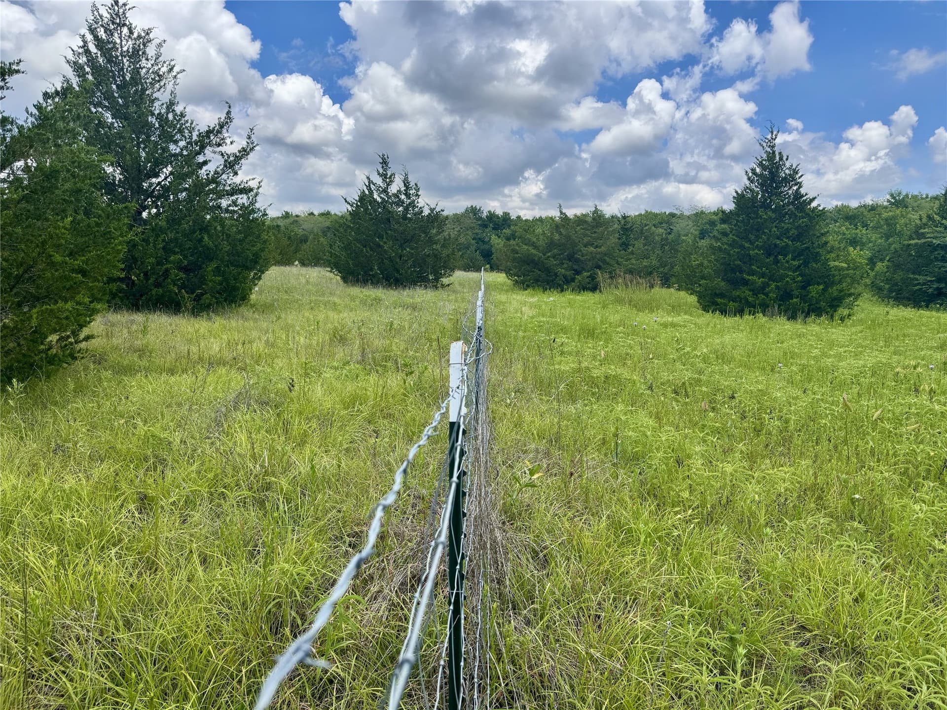 10.46 acres in Hunt County gallery image 3