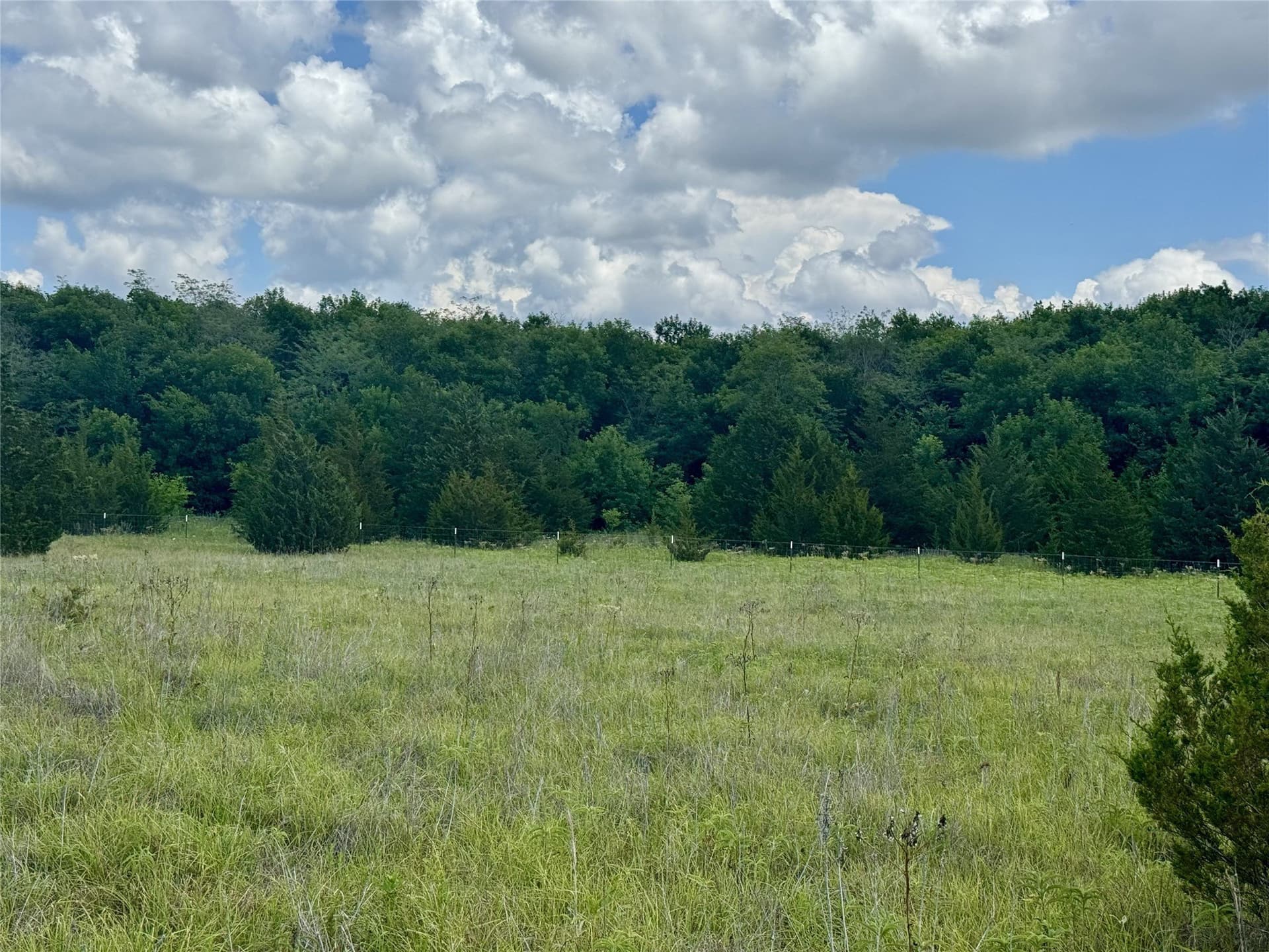 10.46 acres in Hunt County gallery image 4