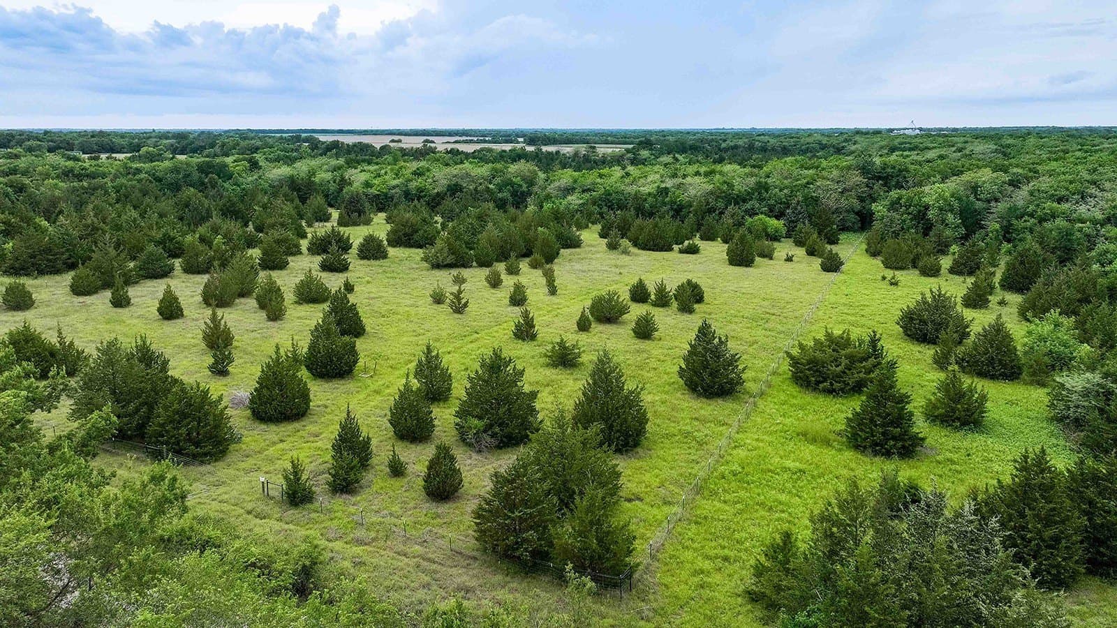 10.46 acres in Hunt County featured view