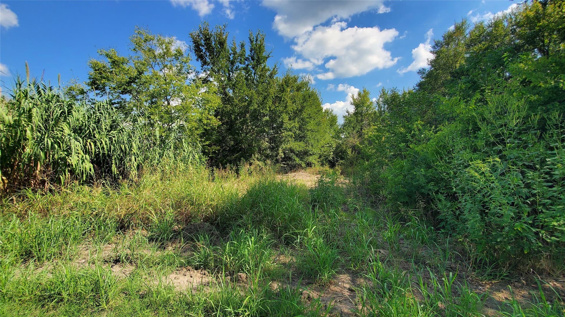 23.79 acres in Navarro County - photo 32