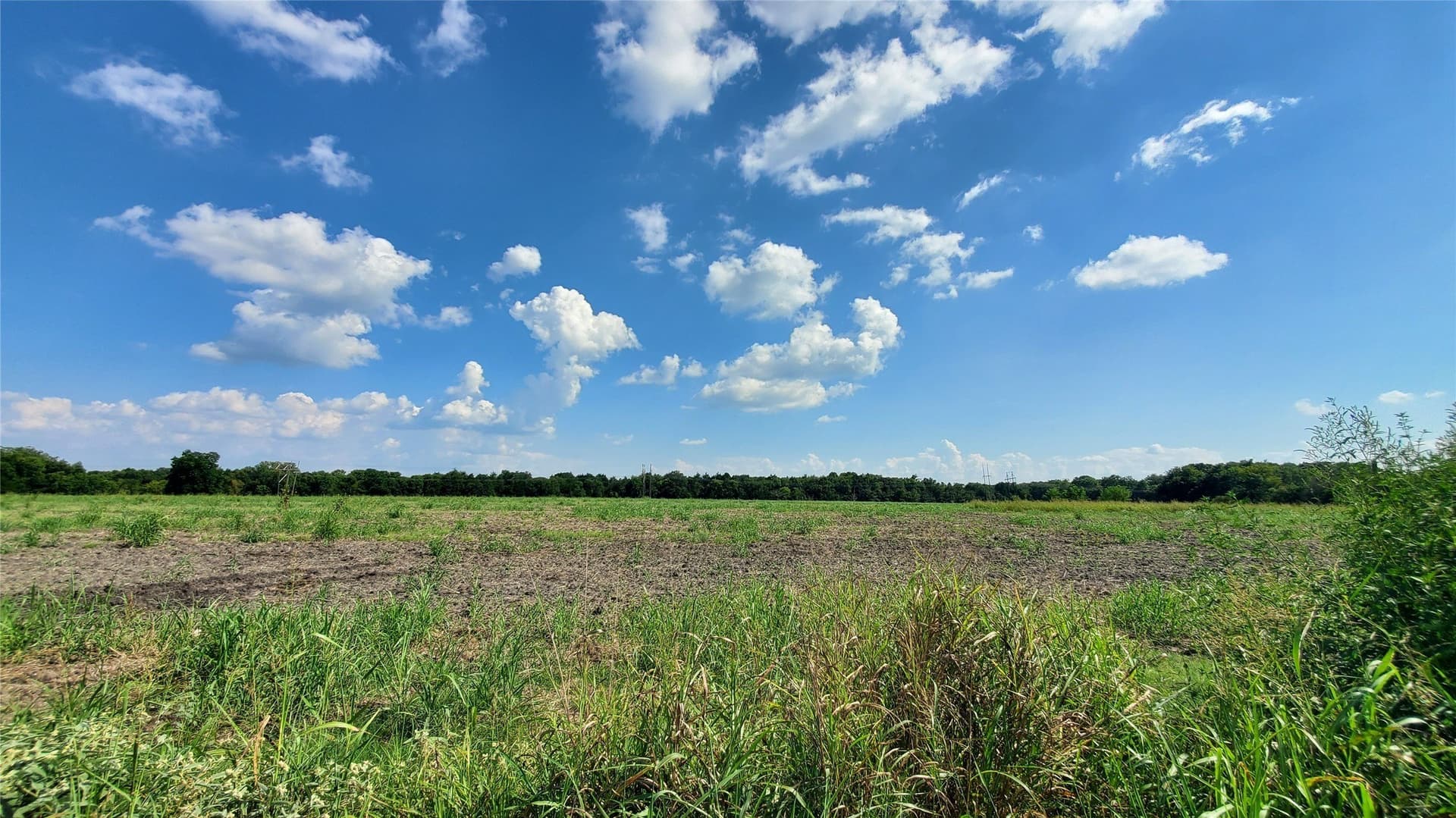 23.79 acres in Navarro County - photo 28