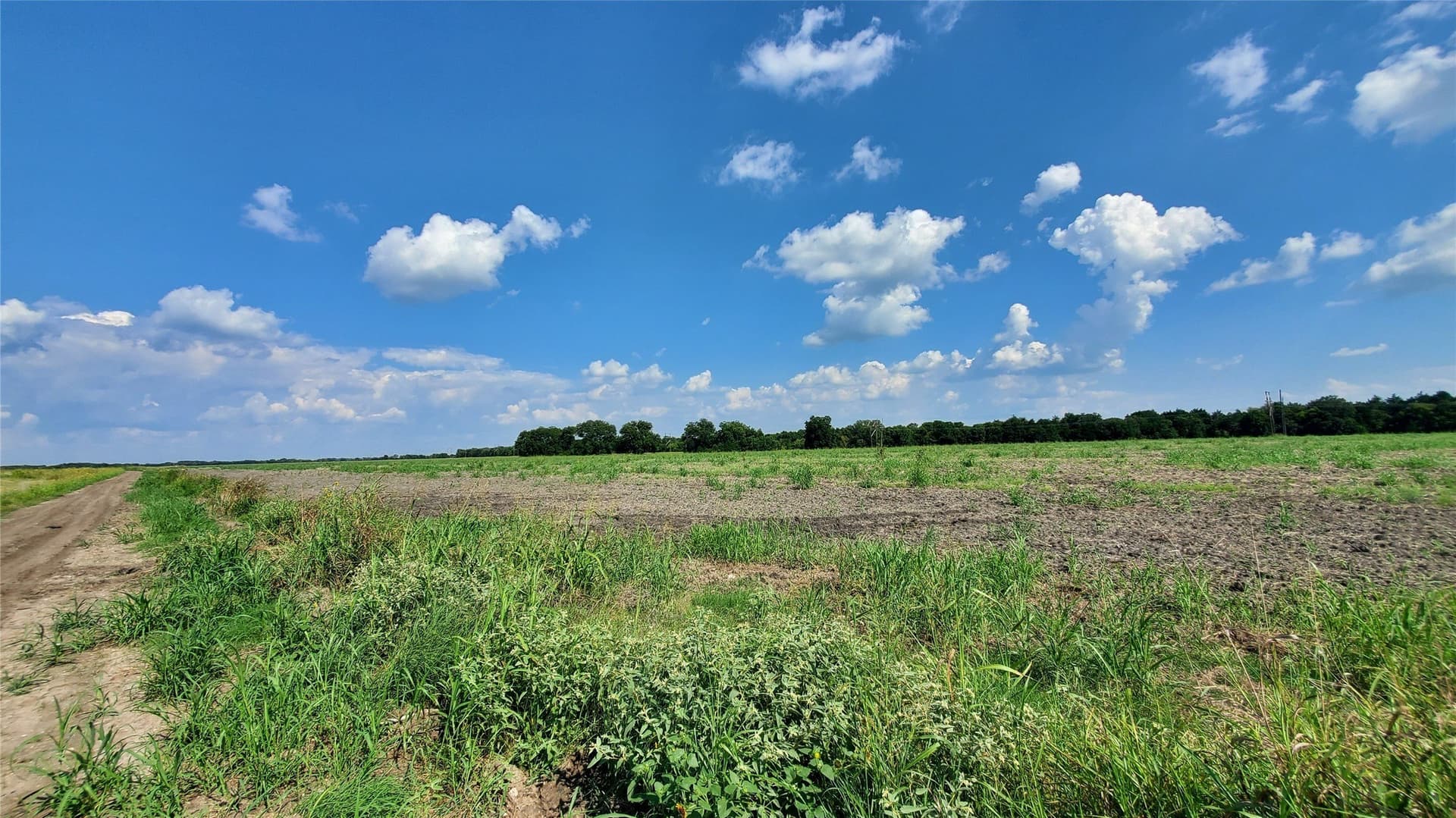 23.79 acres in Navarro County - photo 29