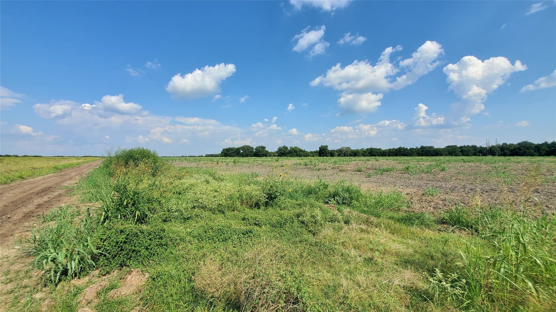 23.79 acres in Navarro County - photo 26