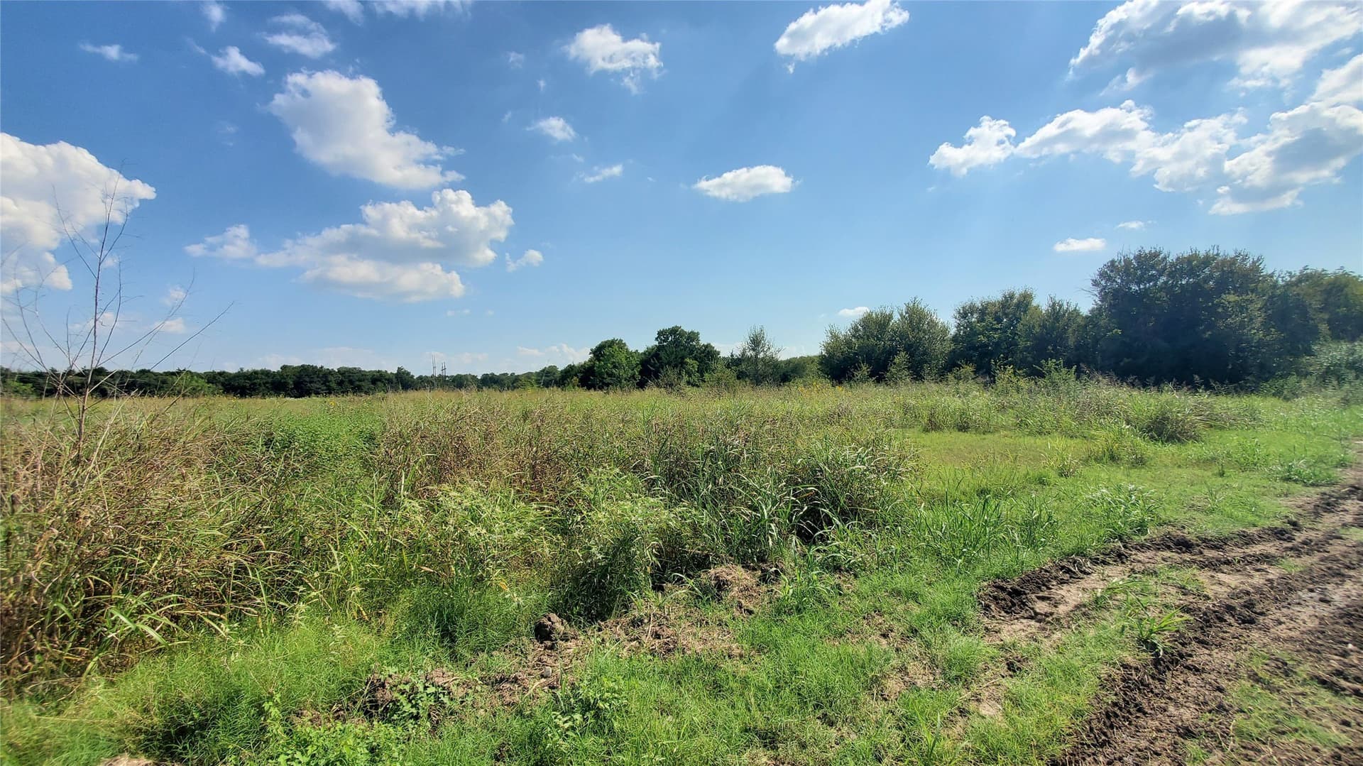23.79 acres in Navarro County - photo 19