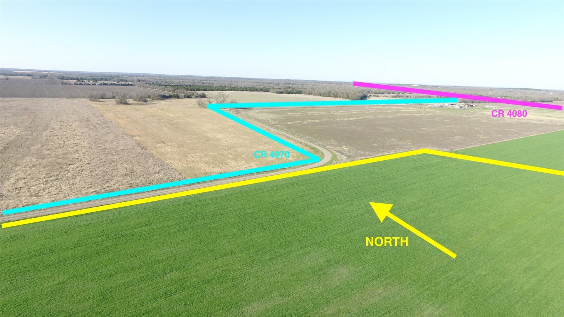 23.79 acres in Navarro County gallery image 4