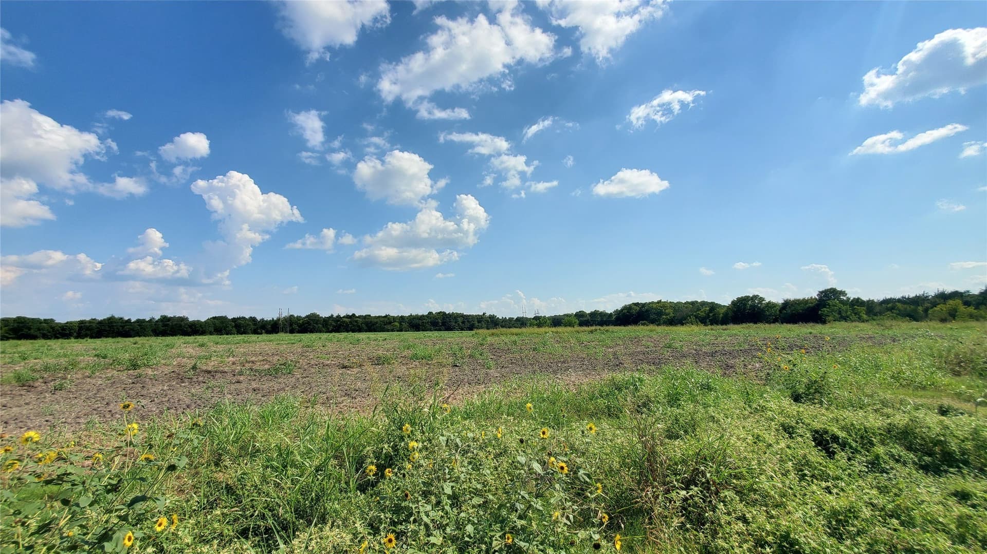 23.79 acres in Navarro County - photo 27