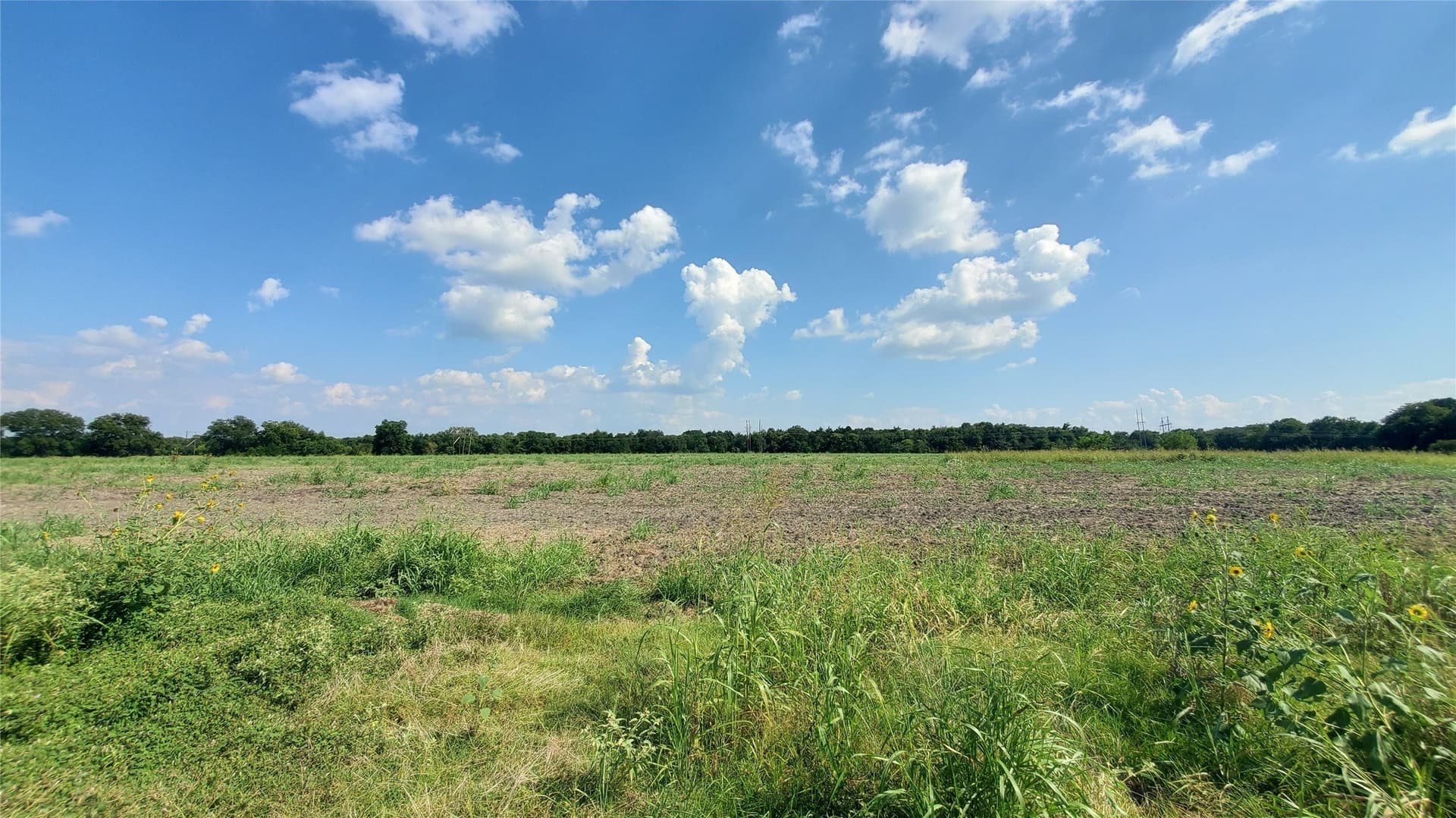 23.79 acres in Navarro County - photo 22