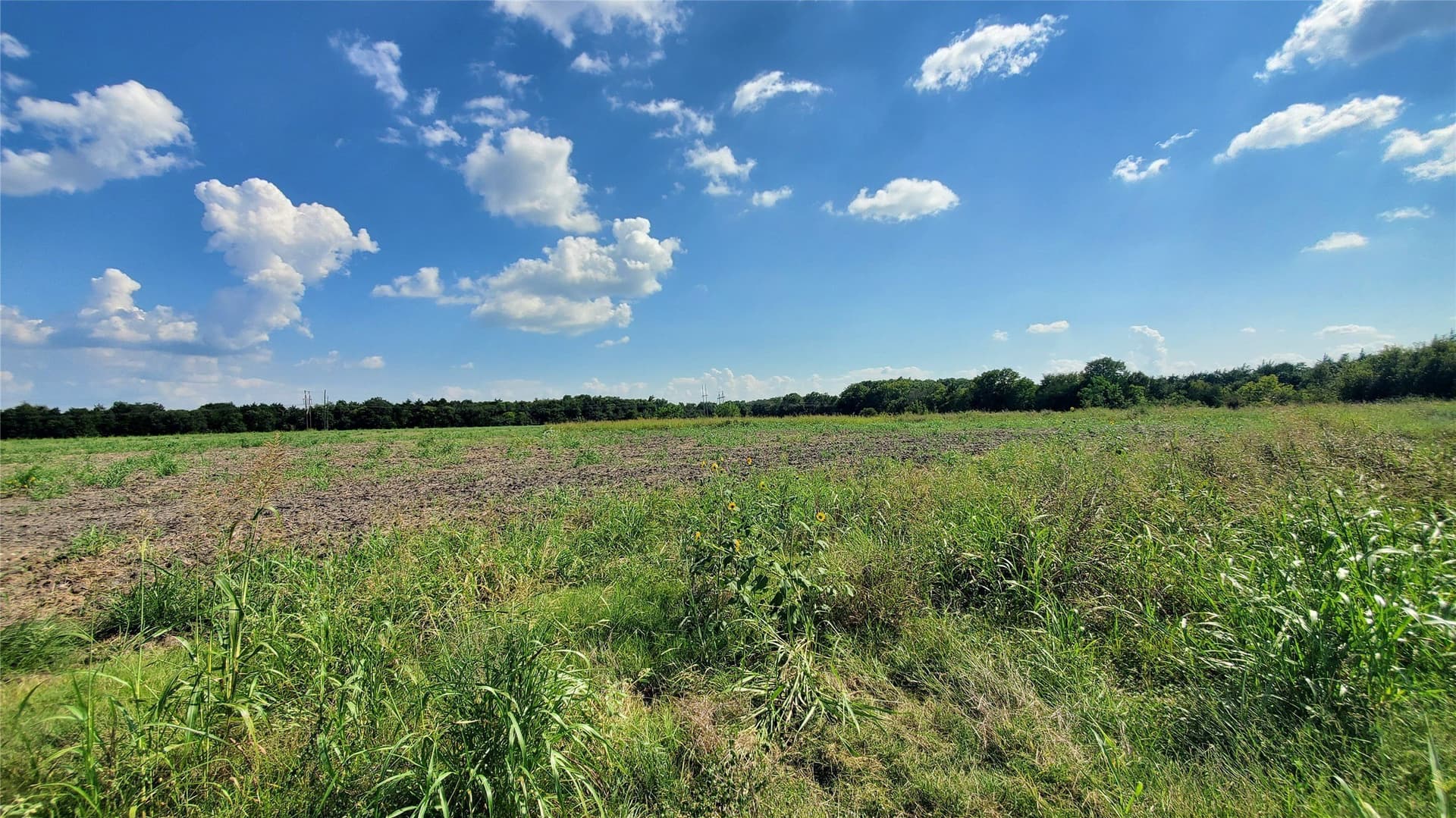 23.79 acres in Navarro County - photo 23