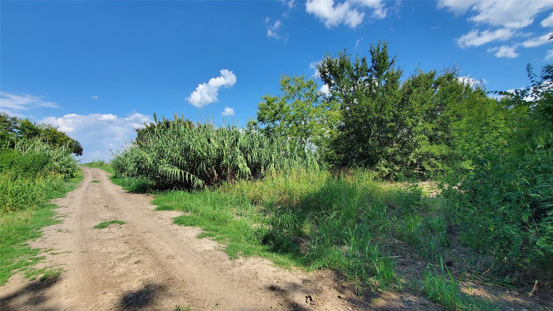 23.79 acres in Navarro County - photo 31