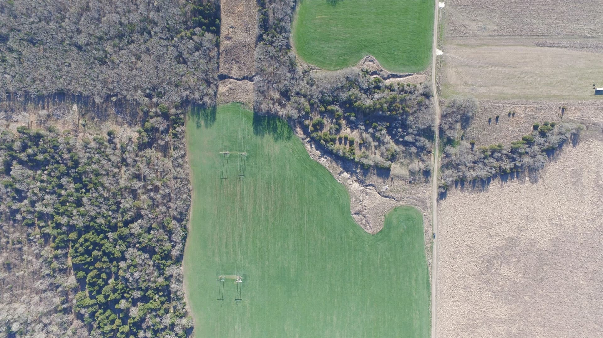 23.79 acres in Navarro County - photo 6