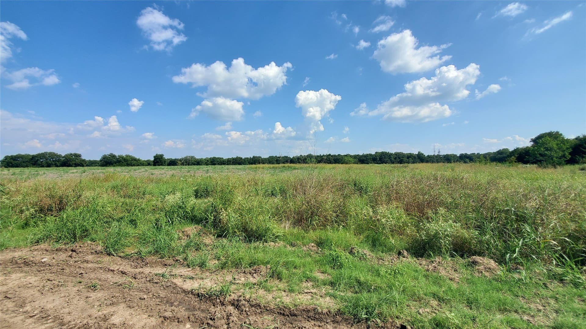 23.79 acres in Navarro County - photo 18