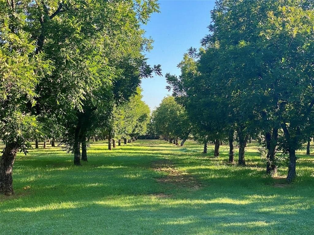 18.43 acres in Comanche County gallery image 4