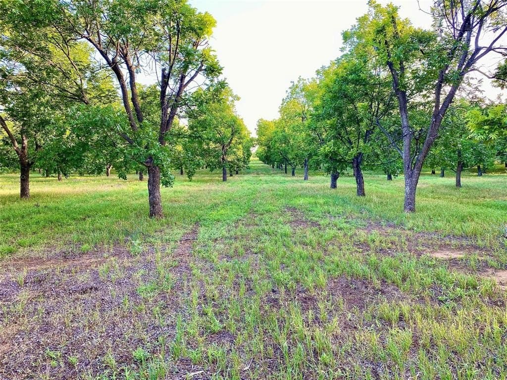 18.43 acres in Comanche County gallery image 3