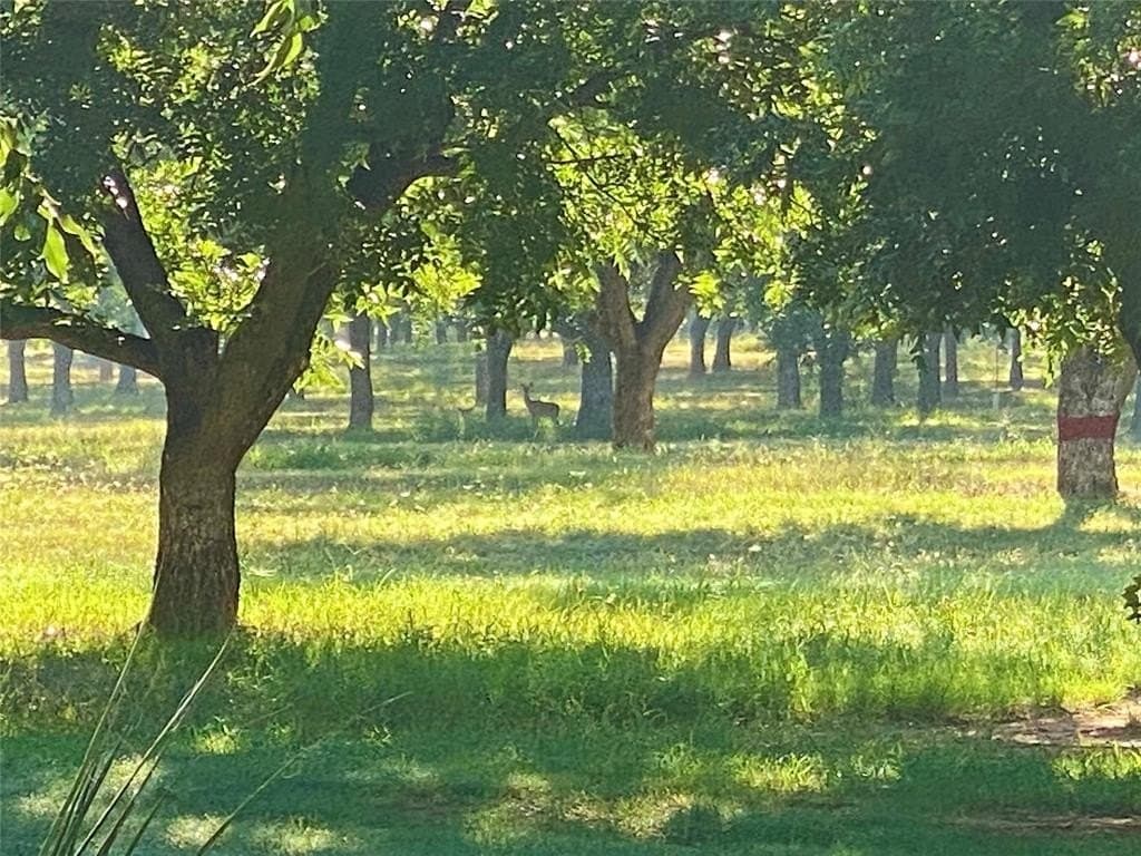 18.43 acres in Comanche County featured view