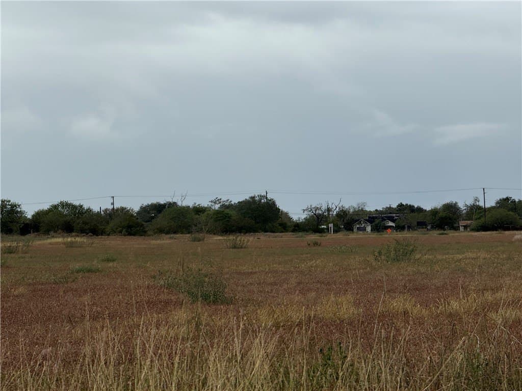 3.97 acres in Jim Wells County gallery image 3