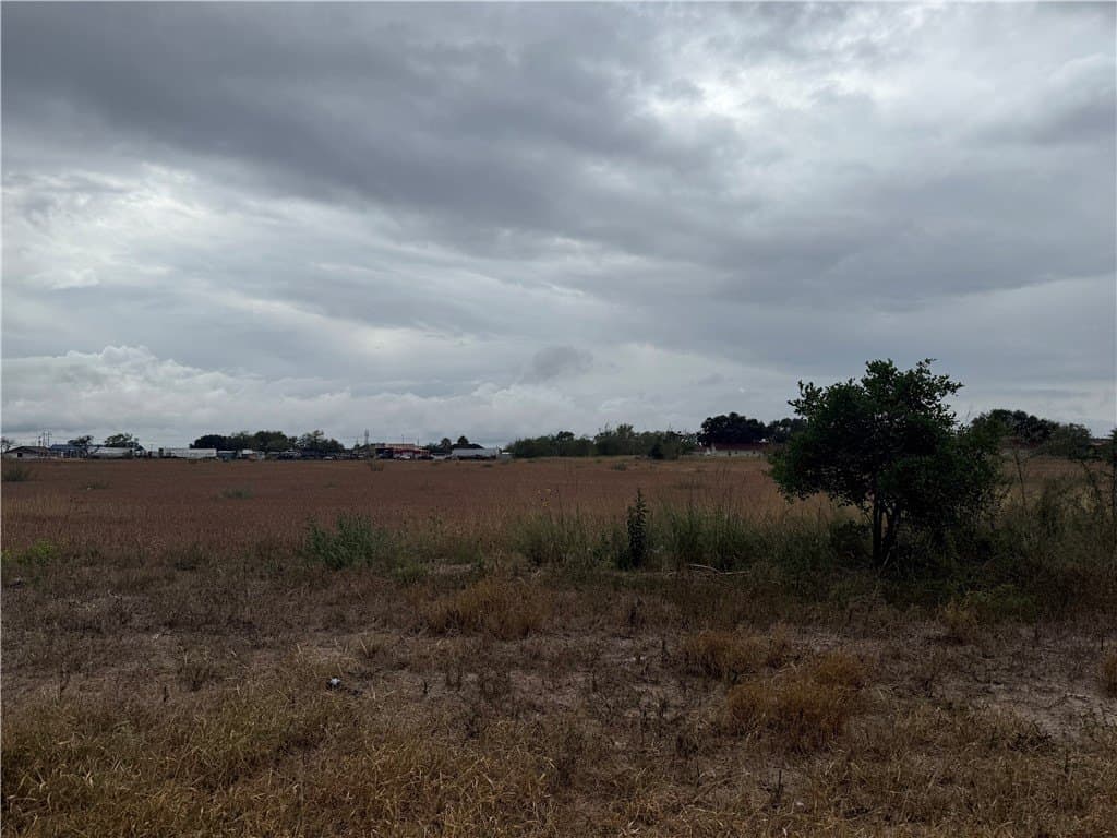 3.97 acres in Jim Wells County gallery image 4