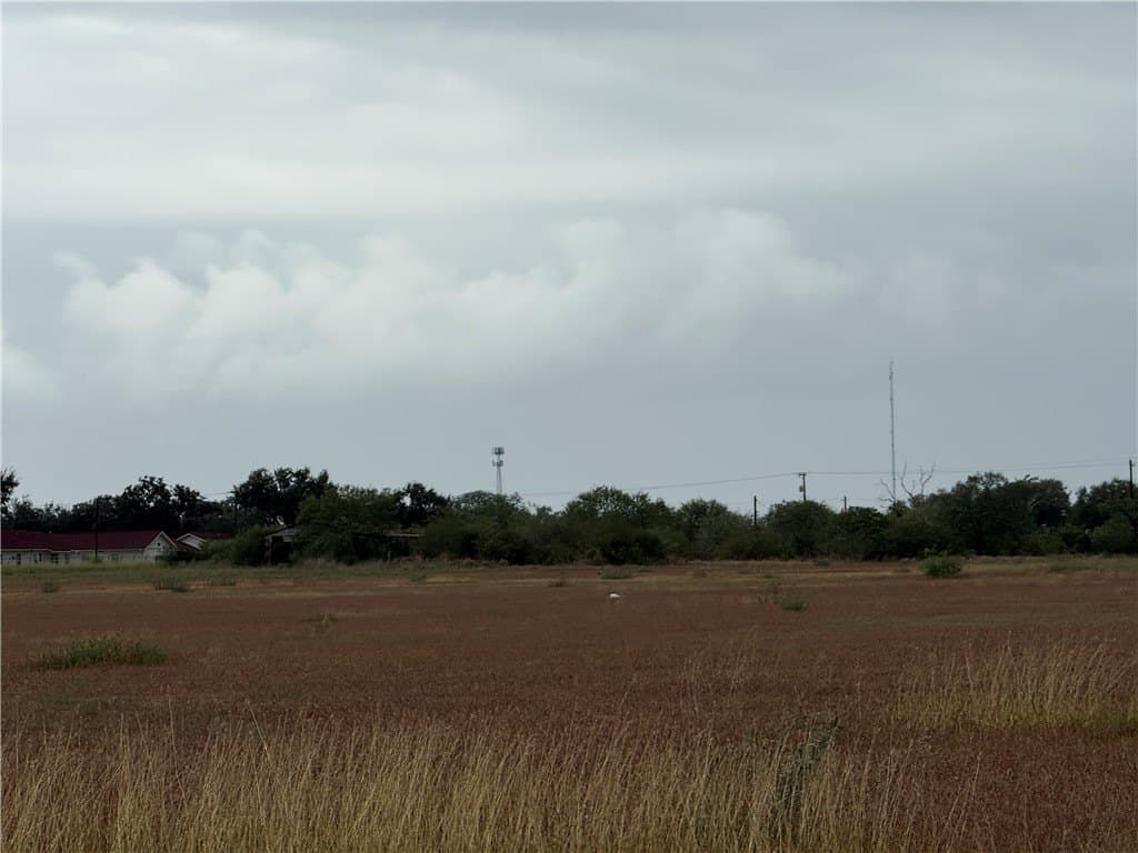 3.97 acres in Jim Wells County gallery image 2