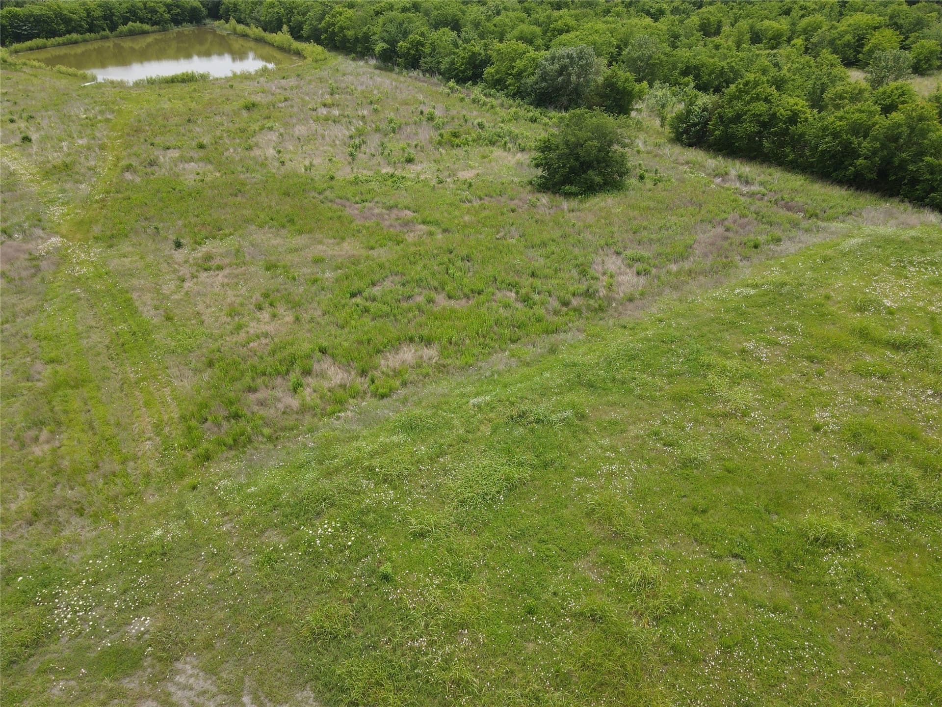 1.91 acres in Kaufman County gallery image 4