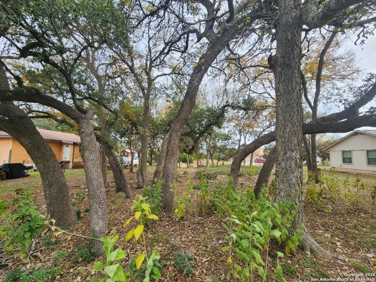 0.25 acres in Comal County - photo 6