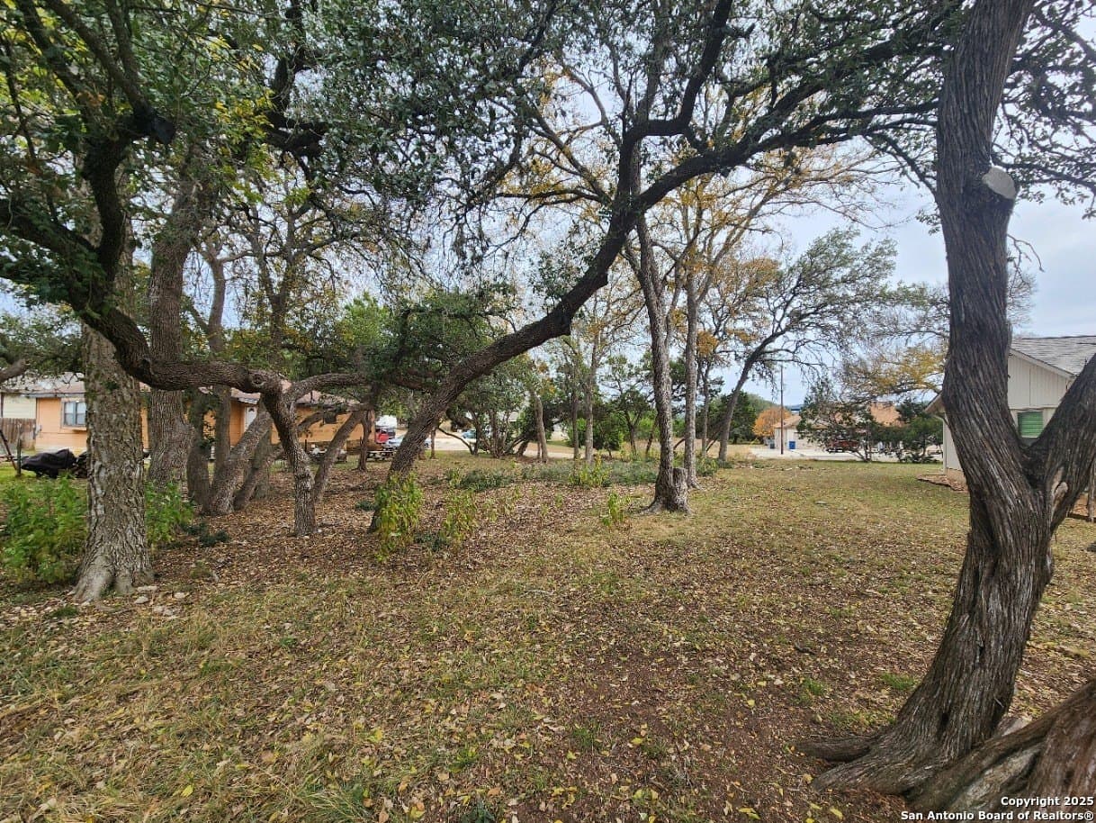0.25 acres in Comal County - photo 8