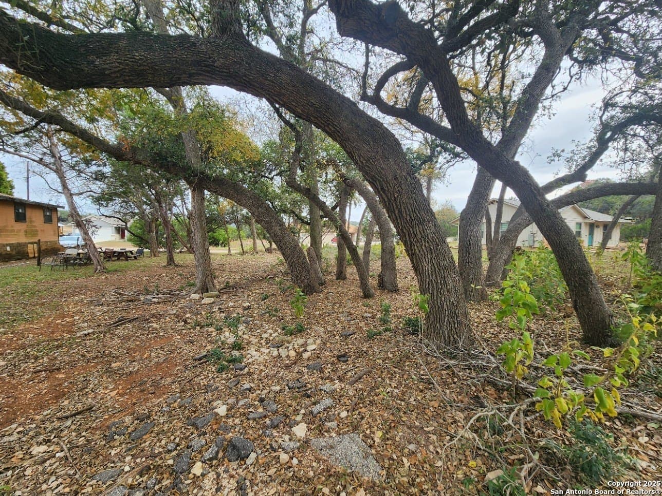0.25 acres in Comal County - photo 7
