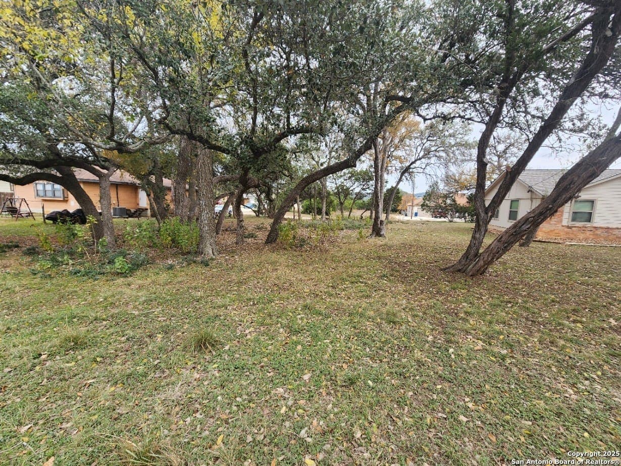0.25 acres in Comal County - photo 4