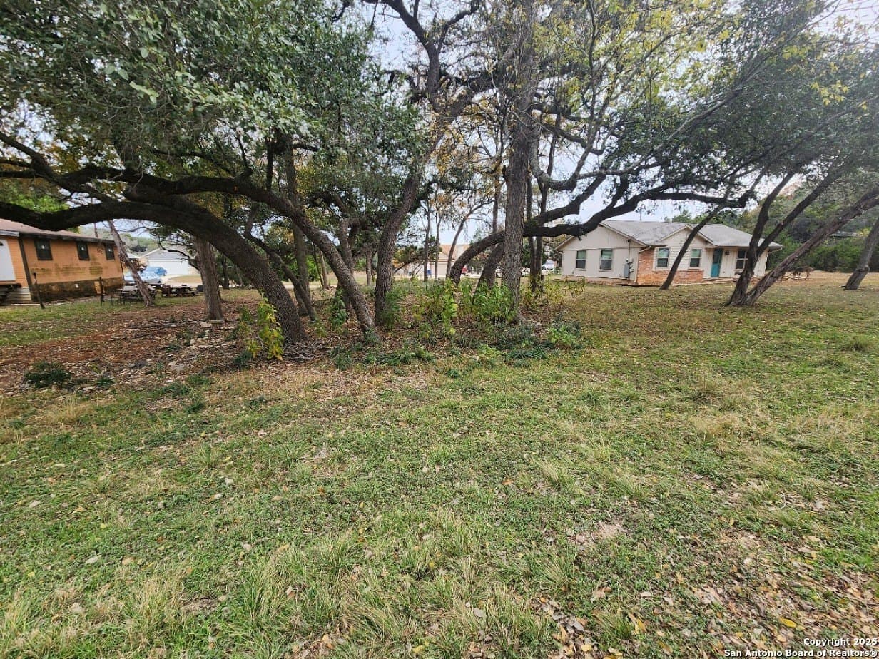0.25 acres in Comal County - photo 5
