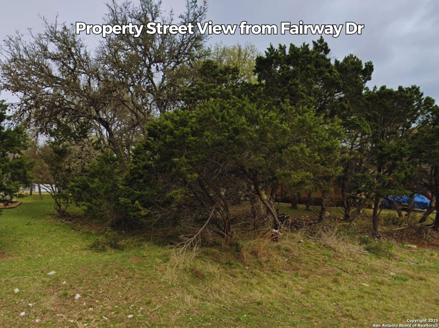 0.25 acres in Comal County - photo 10