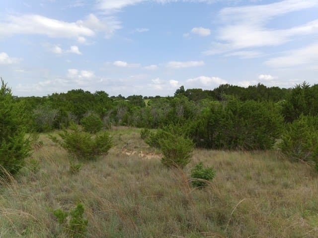 41.49 acres in Bosque County - photo 5