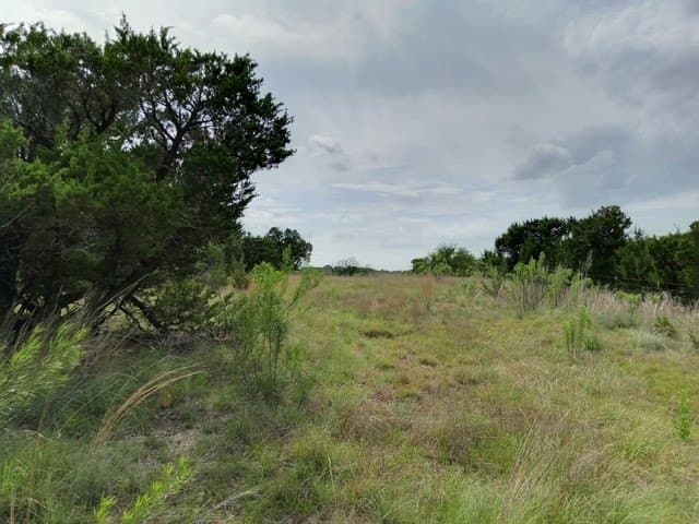41.49 acres in Bosque County - photo 3