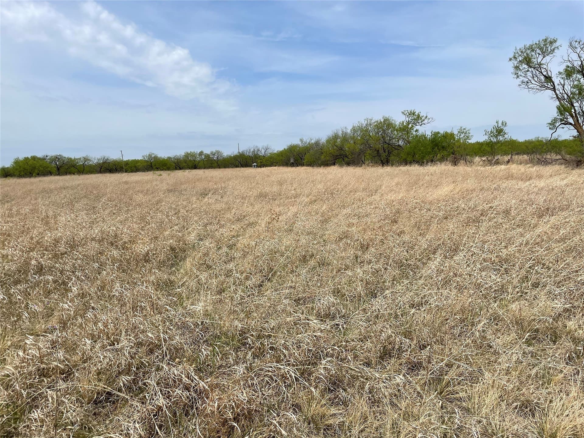 25 acres in Shackelford County - photo 10