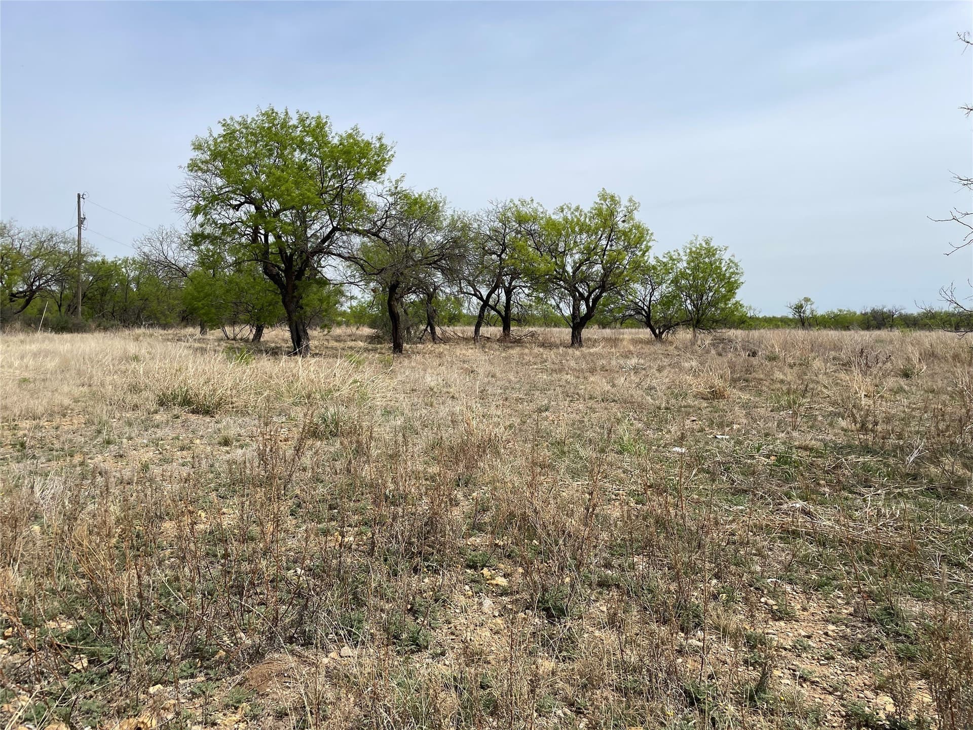 25 acres in Shackelford County - photo 14