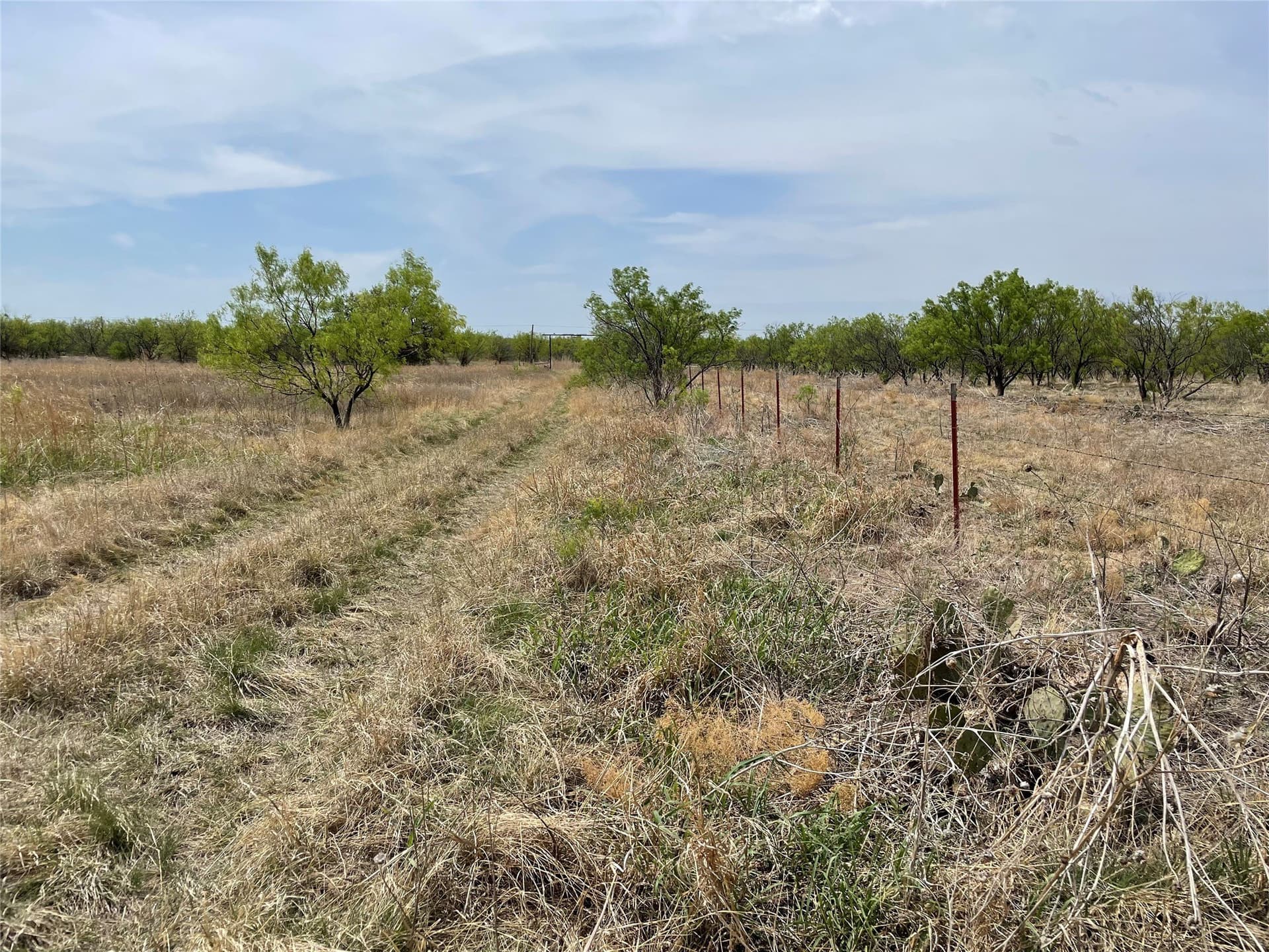 25 acres in Shackelford County - photo 15