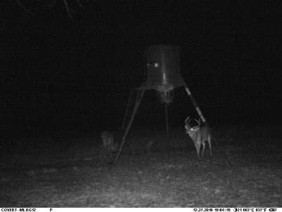 25 acres in Shackelford County - photo 35